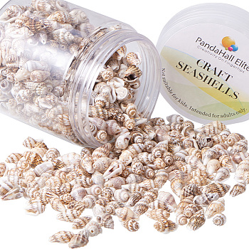 Natural Spiral Shell Beads, Wheat, 11~18x6~9x5~7.5mm, Hole: 1mm, about 185g/box