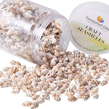 11mm Wheat Shell Other Sea Shell Beads
