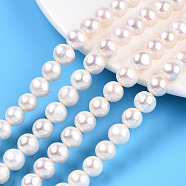 Natural Cultured Freshwater Pearl Beads Strands, Round, Seashell Color, 8~10mm, Hole: 0.5mm, about 46~47pcs/strand, 15.55~15.71 inch(39.5~39.9cm)(PEAR-N016-09B)