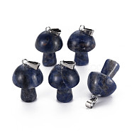 Natural Sodalite Pendants, with Stainless Steel Snap On Bails, Mushroom Shaped, 24~25x16mm, Hole: 5x3mm(G-N0325-10K)