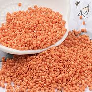 Baking Paint Glass Seed Beads, Cylinder, Light Salmon, 2x1.5mm, Hole: 1mm, about 50398pcs/pound(SEED-S042-05B-83)