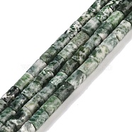 Natural Green Spot Jasper Beads Strands, Column, 7.5~8.5x5~6mm, Hole: 1mm, about 45~46pcs/strand, 14.69~15.04 inch(37.3~38.2cm)(G-C128-A17-01)