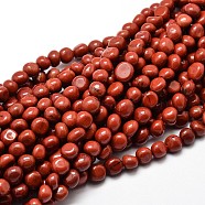 Natural Red Jasper Nuggets Beads Strands, Tumbled Stone, 5~10x6~7x3~7mm, hole: 1mm, about 14.9 inch~15.7 inch(X-G-J335-46)