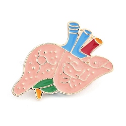 Body Organ Enamel Pins, Alloy Brooches for Backpack Clothes, Heart, Moccasin, 30.5x24.5mm(JEWB-D279-06G-04)