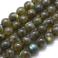 Natural Labradorite Beads Strands, Round, 8mm in diameter, hole: 1mm, about 50pcs/strand, 15.7 inch(40cm)(G-I253-01)
