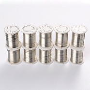 Round Copper Jewelry Wire, Nickel Free, Silver, 28 Gauge(0.3mm), about 32.8 Feet(10m)/roll, 10 rolls/batch(CWMC-S)