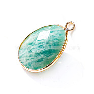 Natural Amazonite Pendants, Faceted Teardrop Charms, Golden, 23x18mm(PW-WG32281-03)