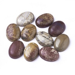 Natural Polychrome Jasper/Picasso Stone/Picasso Jasper Cabochons, Oval, 25x18x7~10mm.(G-D860-A16)