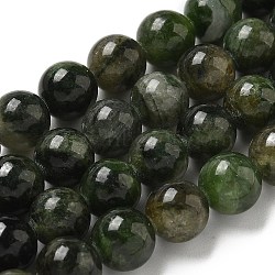 Natural Green Diopside Beads Strands, Round, 9x8.5mm, Hole: 1mm, about 46pcs/strand, 15.59''(39.6cm)(G-K382-B01-02)