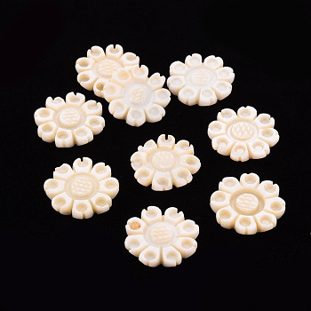 Freshwater Shell Cabochons, Flower, Seashell Color, 17.5x3mm