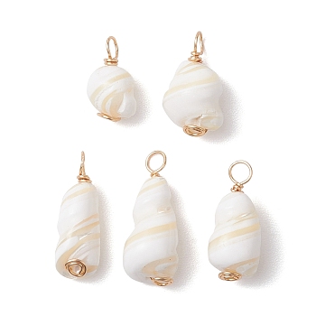 Natural Conch Shell Pendants, with Copper Wire, Shell Shape Charms, Light Gold, 14~23x8~10x8~10mm, Hole: 3mm