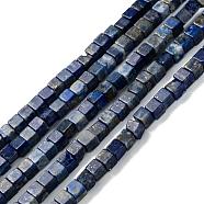 Natural Lapis Lazuli Beads Strands, Cube, 4x4x4mm, Hole: 0.7mm, about 85pcs/Strand, 15.2 inch(38.5cm)(G-F631-K05)