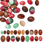 30Pcs 5 Styles Natural Banded Agate & Jade Cabochons, Dyed, Half Oval, 10~18.5x13~16x5~7mm, 6pcs/style(G-AR0005-17)
