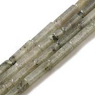 Natural Labradorite Beads Strands, Column, 13.5~14x4~4.5mm, Hole: 1.2mm, about 28pcs/strand, 15.16''(38.5cm)(G-D464-29)