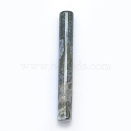 Natural Moss Agate Beads, Column, Undrilled/No Hole Beads, 75~76x10mm(G-E490-H04-01)