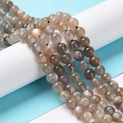 Natural Grey Moonstone Beads Strands, Round, 6mm, Hole: 0.6mm, about 65~67pcs/strand, 15.7 inch(40cm)(G-F632-24-02-01)