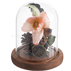 1Pc Glass Dome Cover, Decorative Display Case, Cloche Bell Jar Terrarium with Wood Base, Arch, 92x118mm, Inner Diameter: 86mm(AJEW-SC0002-60A-04)