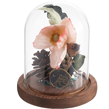 1Pc Glass Dome Cover, Decorative Display Case, Cloche Bell Jar Terrarium with Wood Base, Arch, 92x118mm, Inner Diameter: 86mm