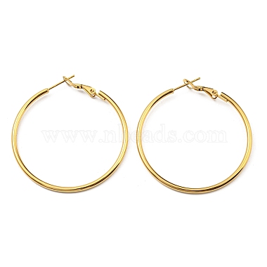 Ring 316 Surgical Stainless Steel Earrings