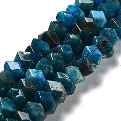 Natural Apatite Beads Strands, Nuggets, Faceted, 6~8x10.5~14x8~9.5mm, Hole: 1.2mm, about 57~61pcs/strand, 15.16''~15.39''(38.5~39.1cm)(G-D091-A09)
