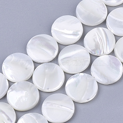 Trochus Shell Beads Strands, Flat Round, Creamy White, 15x3mm, Hole: 1mm, about 25~27pcs/Strand, 15.16 inch~15.75 inch(SHEL-T016-11)