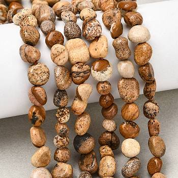 Natural Picture Jasper Beads Strands, Nuggets, Tumbled Stone, 6~10x6~8x4~5mm, Hole: 1mm, about 28~30pcs/strand, 7.87''(20cm)