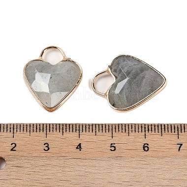 Natural Labradorite Faceted Pendans(KK-L218-005G-03)-3