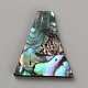 Natural Paua Shell Cabochons(FIND-WH0148-351C)-1