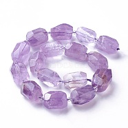 Natural Amethyst Beads Strands, Faceted, Polygon, Lilac, 19~22x12~18mm, Hole: 1.5mm, about 16~17pcs/strand, 15.15 inch~16.14 inch(38.5~41cm)(G-P434-30B)