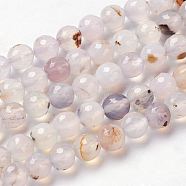 Natural Agate Beads Strands, Faceted, Round, 8mm, Hole: 1mm, about 48pcs/strand, 14.9 inch(G-J376-06-8mm)