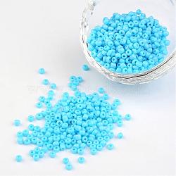 8/0 Opaque Colours Round Glass Seed Beads, Light Sky Blue, Size: about 3mm in diameter, hole:1mm, about 1101pcs/50g(X-SEED-A010-3mm-43)