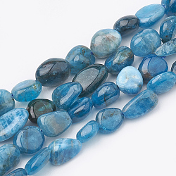 Natural Apatite Beads Strands, Oval, 5~15x4~10x2~6mm, Hole: 1mm, about 40~60pcs/strand, 15.7 inch(X-G-S331-6x8-002)