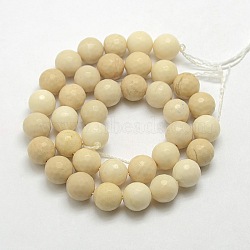 Natural Gemstone Petrified Wood Round Beads Strands, Faceted, 6mm, Hole: 1mm, about 63pcs/strand, 15.5 inch(X-G-O021-6mm-12)