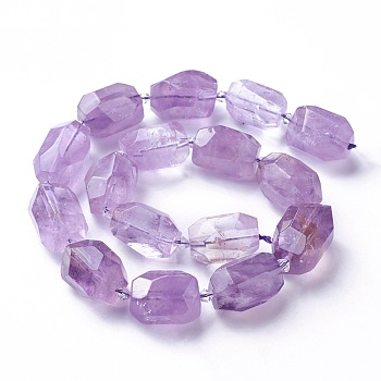 Natural Amethyst Beads Strands, Faceted, Polygon, Lilac, 19~22x12~18mm, Hole: 1.5mm, about 16~17pcs/strand, 15.15 inch~16.14 inch(38.5~41cm)