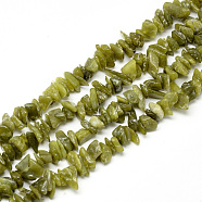 Natural Peridot Beads Strands, Chip, 5~13x5~13x1~7mm, Hole: 1mm, about 240~420pcs/strand, 34.6 inch(X-G-R002-12)