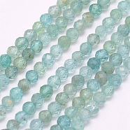 Natural Apatite Beads Strands, Faceted, Round, 2mm, Hole: 0.5mm, about 180~189pcs/strand, 15.5 inch(39.5cm)(G-I156-05-2mm)