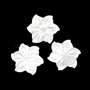 Natural Shell Cabochons, Flower, White, 40.8x3mm(SHEL-K008-02)
