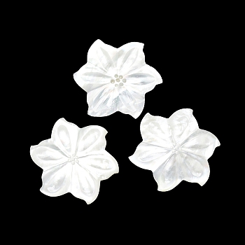 Natural Shell Cabochons, Flower, White, 40.8x3mm