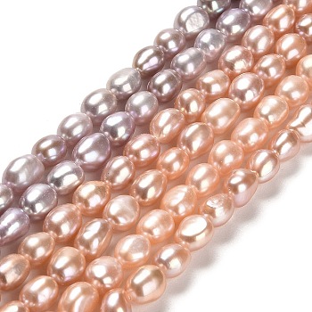 Natural Cultured Freshwater Pearl Beads Strands, Two Sides Polished, Grade 6A, Colorful, 6.5~8.5x5.5~6.5mm, Hole: 0.5mm, about 46~47pcs/strand, 13.58~13.78 inch(34.5~35cm)