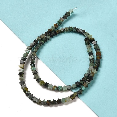 Natural African Turquoise(Jasper) Beads Strands(G-G085-B06-01)-2