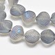 Frosted Electroplate Glass Shell Beads Strands(X-EGLA-M002-B03)-1