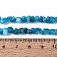 Natural Freshwater Shell Beads Strands(SHEL-N037-04I)-4