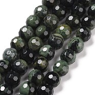 Natural Kambaba Jasper Beads Strands, Faceted(128 Facets), Round, 6.5mm, Hole: 1mm, about 60pcs/strand, 14.96''(38cm)(G-E571-04A)