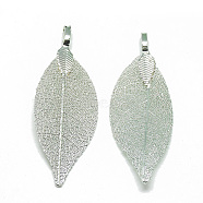 Iron Big Pendants, Electroplate Natural Leaf, Leaf, Green Plated, 52~53x19~20x1.5mm, Hole: 3x5.5mm(IFIN-T006-08D)