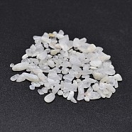 Natural White Jade Chip Beads, No Hole/Undrilled, 2~8x2~4mm, about 8500pcs/500g(G-O103-16)