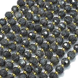 Natural Labradorite Beads Strands, with Seed Beads, Faceted, Lantern, 8~8.5x6.5~7mm, Hole: 0.6mm, about 44pcs/strand, 15.16 inch(38.5cm)(G-K389-E75-01)