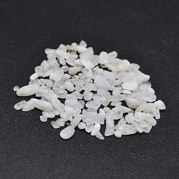 Natural White Jade Chip Beads, No Hole/Undrilled, 2~8x2~4mm, about 8500pcs/500g