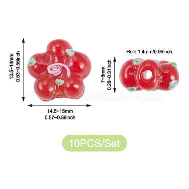 10Pcs Handmade Lampwork Beads(LAMP-TADJ0001-01A)-4