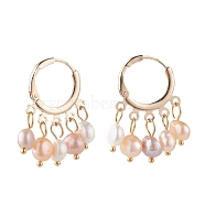Natural Pearl Dangle Hoop Earrings, Brass Jewelry for Women, Golden, Seashell Color, 29x18.5x8mm, Pin: 0.8mm(EJEW-JE04794-01)