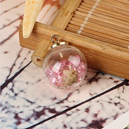Transparent Glass Globe Pendants, with Rhinestones & Dried Flower inside and Plastic CCB Pendant Bails, Ball, White, Light Rose, 16mm, Hole: 2mm(GLAA-TAC0003-02D)